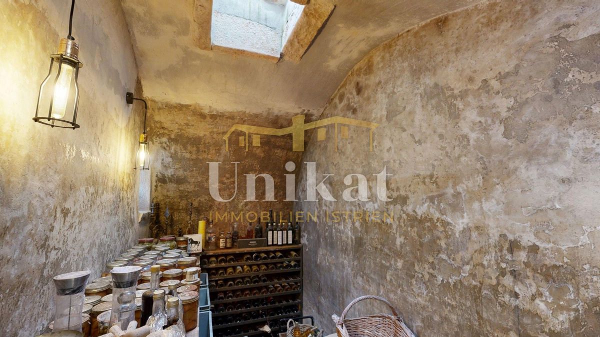 Čudovita posest z dvema kamnitima hišama in bazenom